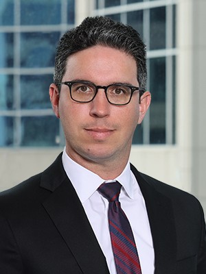 Mitchell Goldberg, Partner
