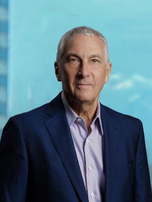 Paul Steven Singerman, Partner