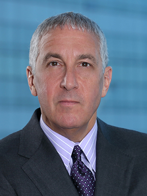 Paul Steven Singerman, Partner